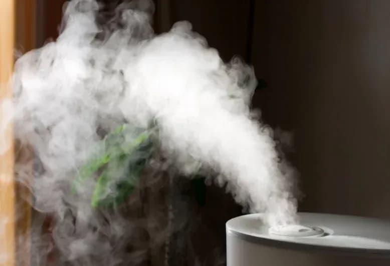 Nawilżacz powietrza z jonizacją czy bez: Kluczowe różnice i porównanie