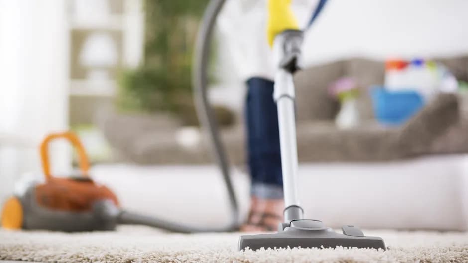 Jaki odkurzacz do domu ze zwierzętami, aby skutecznie usunąć sierść?